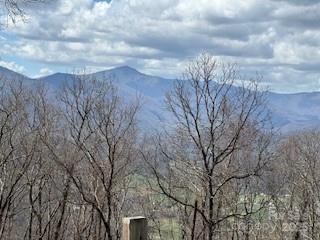 28 Angel Ridge Waynesville, NC 28785 - Photo 6 of 7