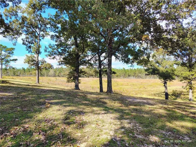 $130,000 | 25264 7 Mile Road, Angie, LA 70426