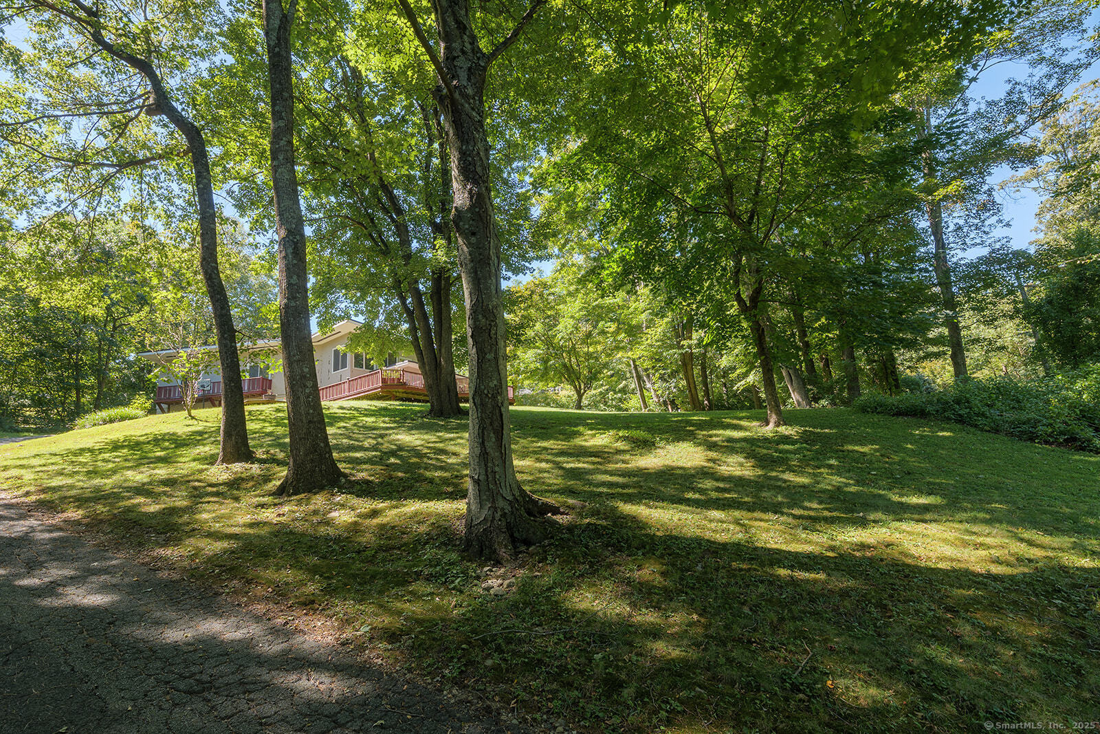 26 Wilridge Road Ridgefield, CT 06877 - Photo 6 of 40 a view of a yard with a tree