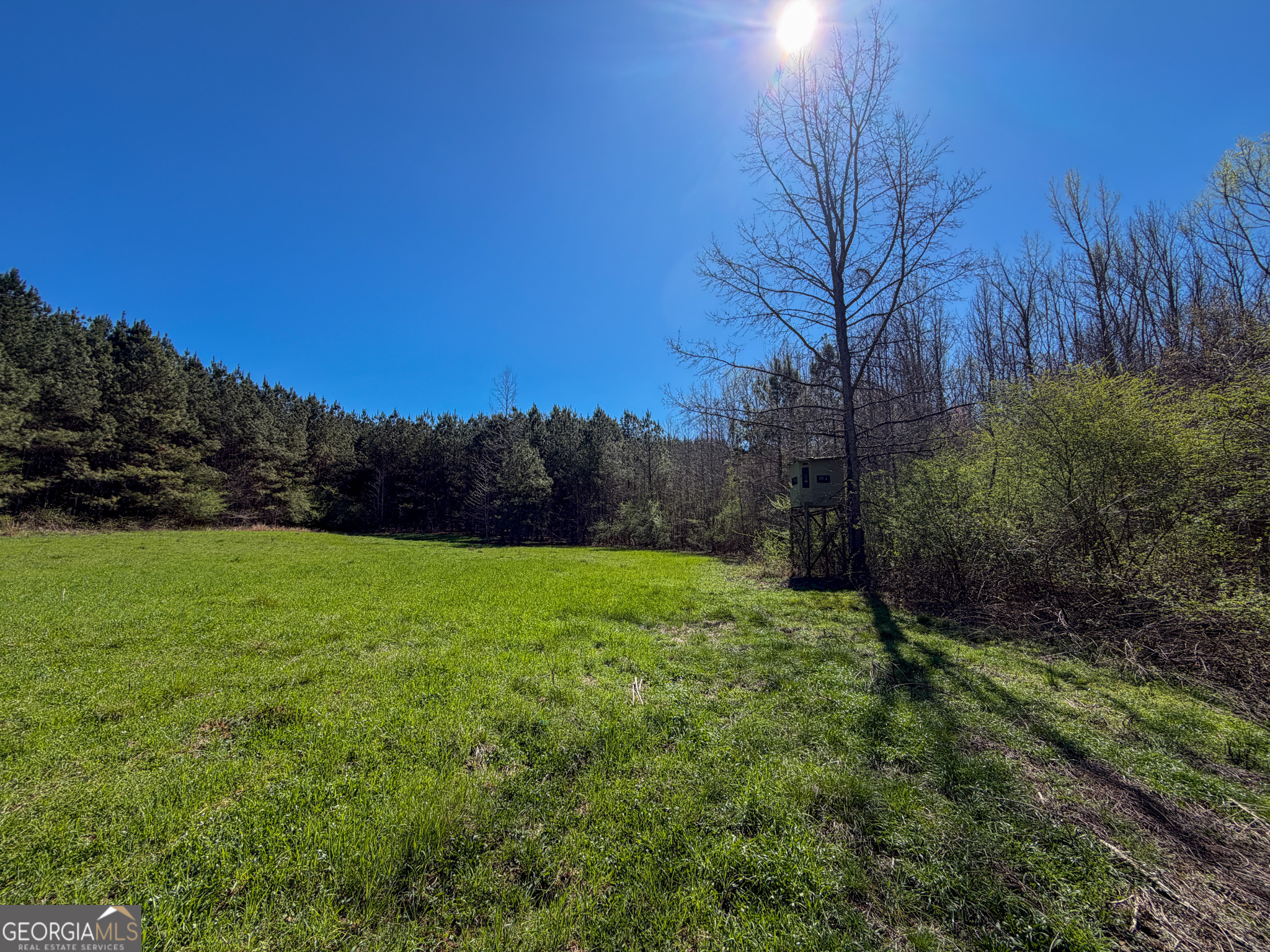 257 Acres On Ridgeway Road Franklin, GA 30217 - Photo 22 of 28