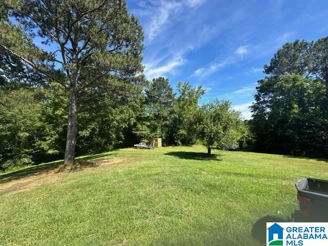 156 County Road 289 Wedowee, AL 36278 - Photo 38 of 53