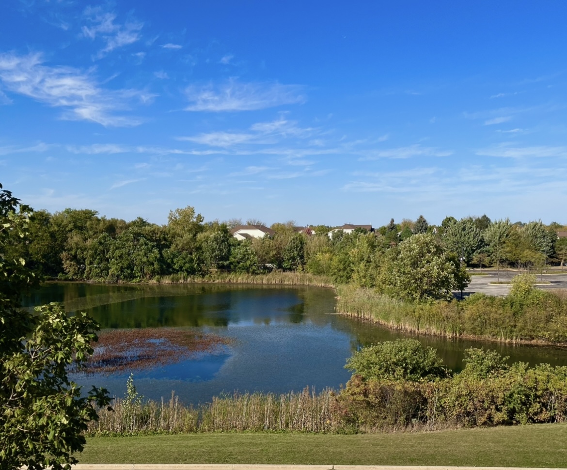 1199 East Port Clinton Road, Unit 304 Vernon Hills, IL 60061 - Photo 27 of 29 a view of a lake with houses in the back