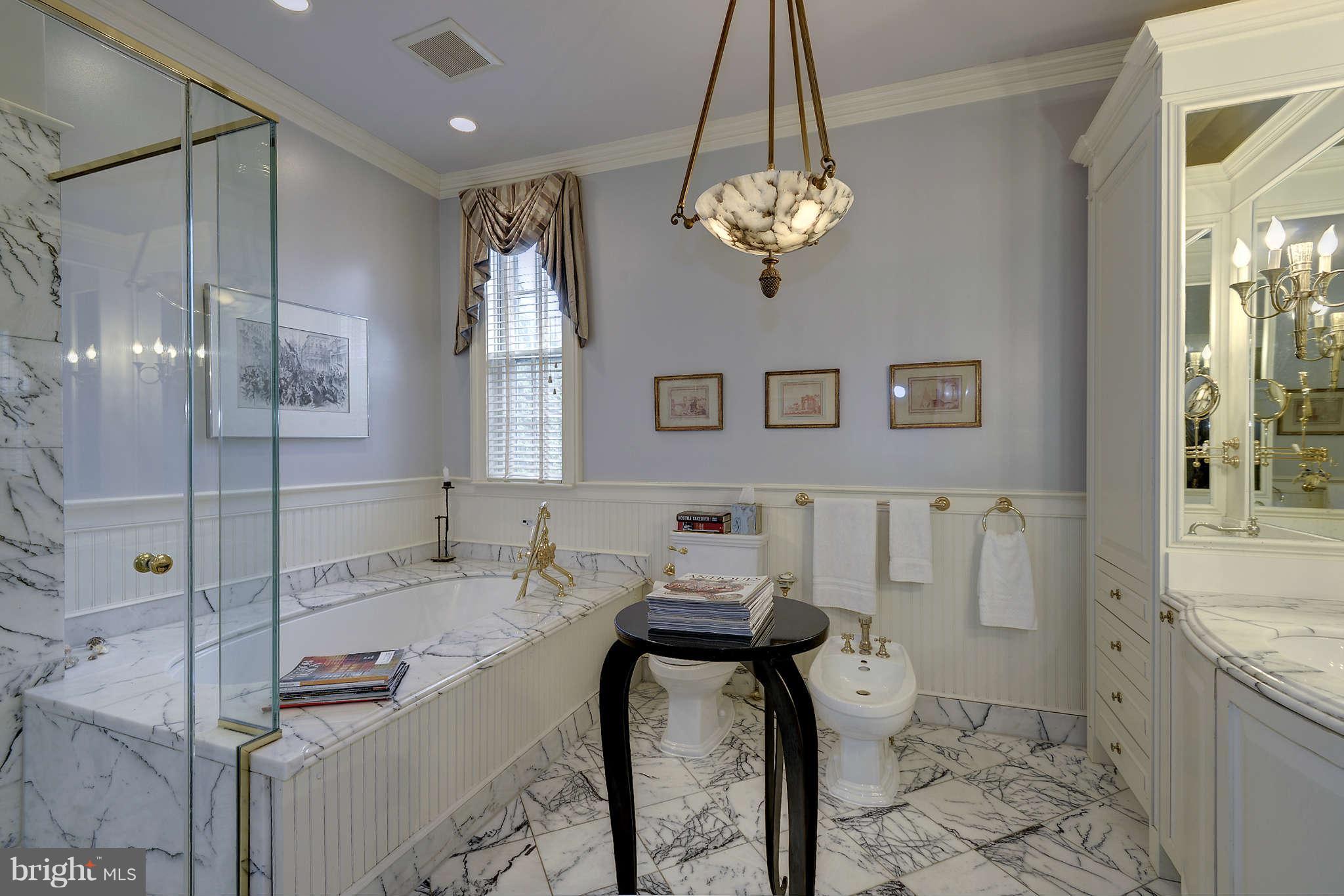 113 3rd Street Northeast Washington, DC 20002 - Photo 21 of 30 Bath (Master)