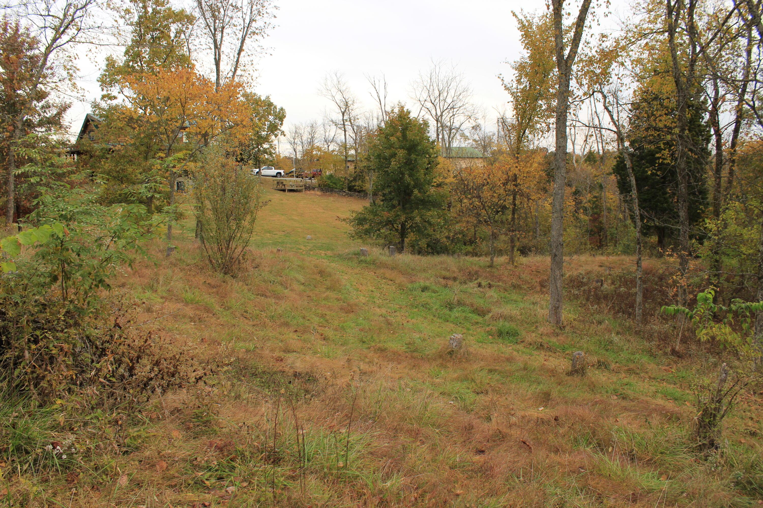 1316 Buttermilk Run Road Manchester, OH 45144 - Photo 86 of 107 87