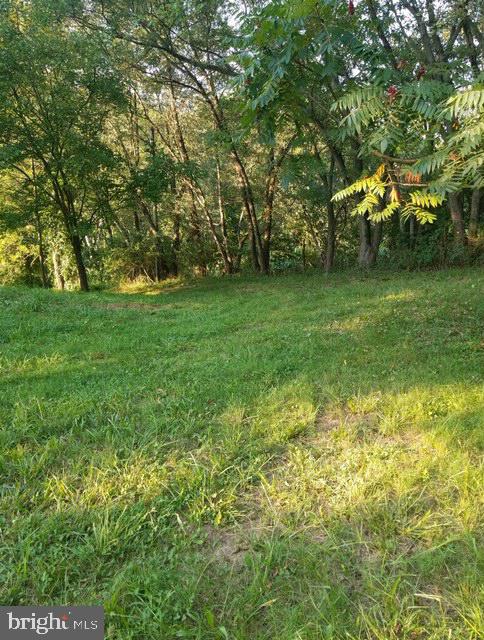 0 Prospect Hill Road Spring Grove, PA 17362 - Photo 3 of 7 a view of yard with green space