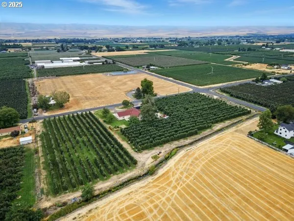 a ground with lots of green trees