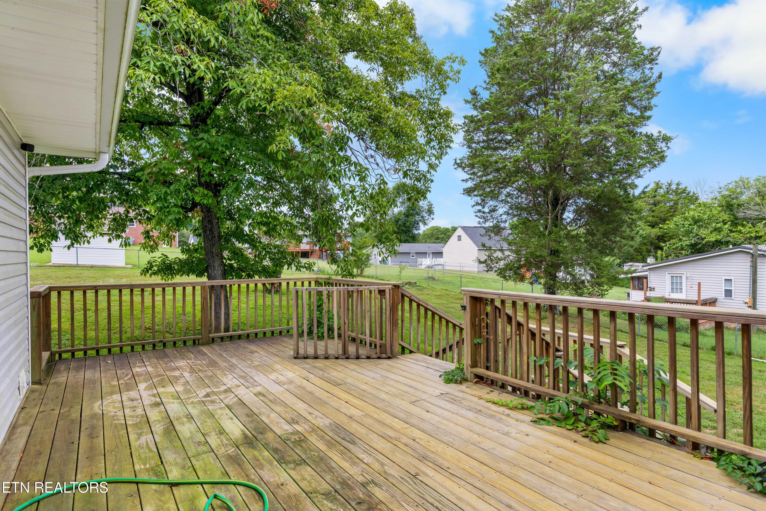 216 Shipe Road Powell, TN 37849 - Photo 18 of 33 030A8154