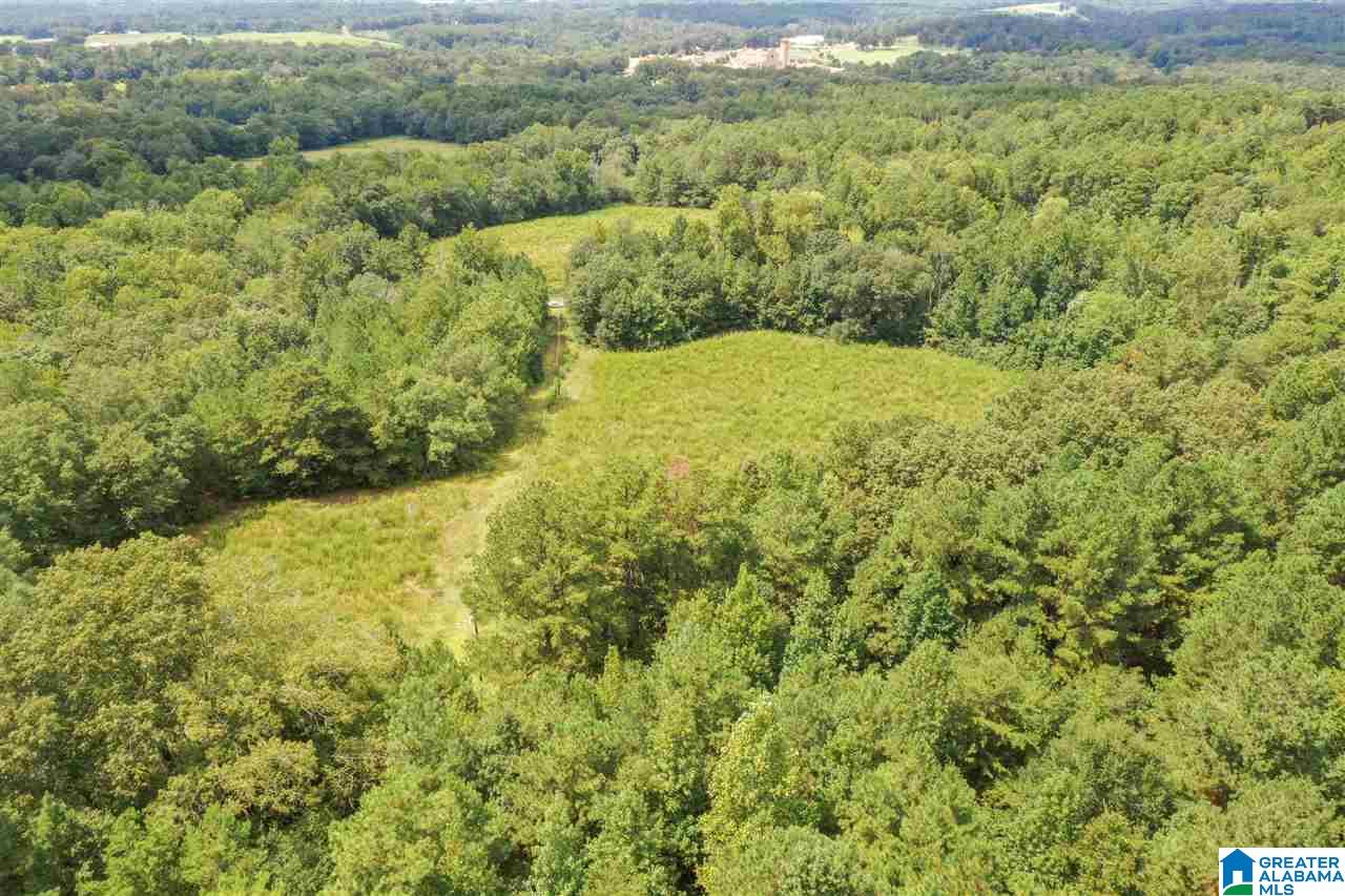 378 Old Mill Road Blountsville, AL 35031 - Photo 3 of 10