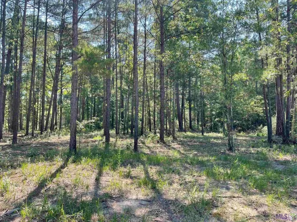 $315,000 | Tbd Mack Lane, Clinton, LA 70722