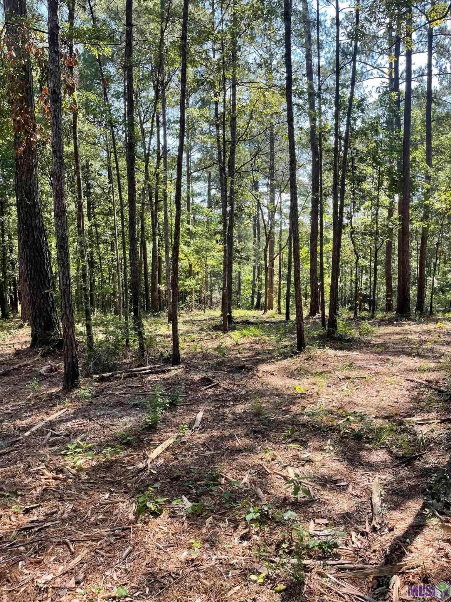 Tbd Mack Lane Clinton, LA 70722 - Photo 2 of 5