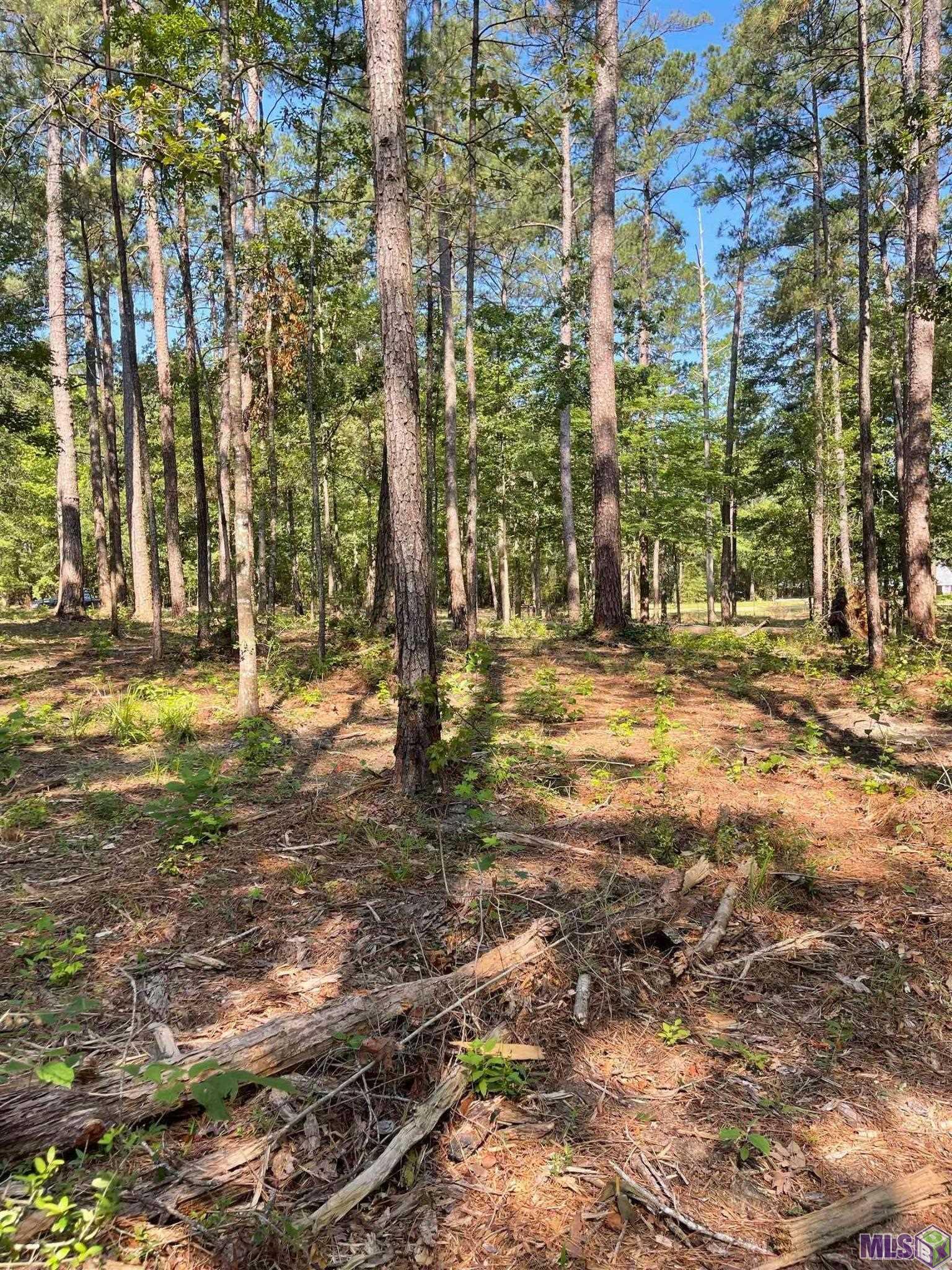 Tbd Mack Lane Clinton, LA 70722 - Photo 3 of 5