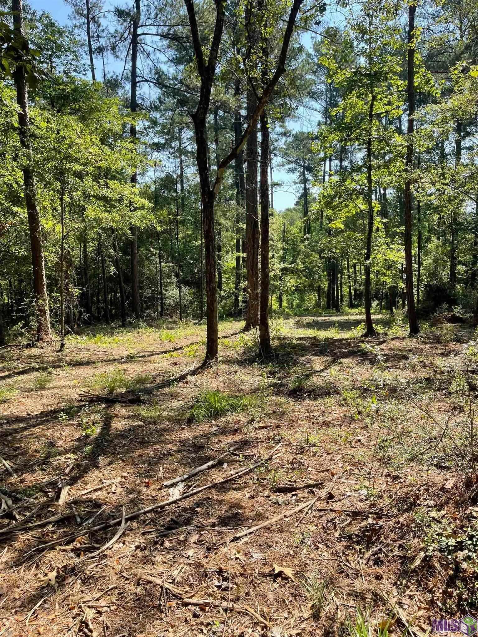 Tbd Mack Lane Clinton, LA 70722 - Photo 4 of 5