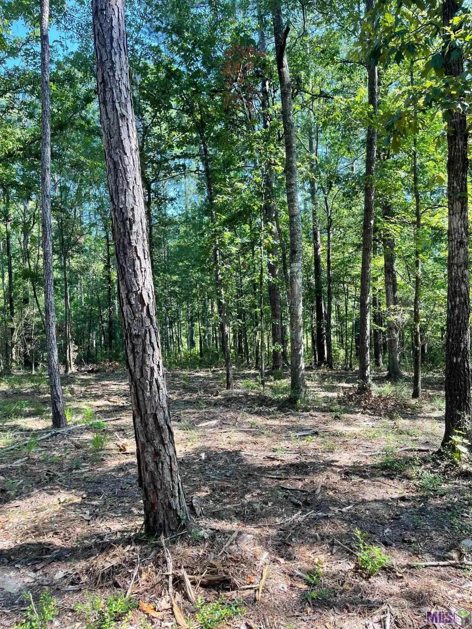 Tbd Mack Lane Clinton, LA 70722 - Photo 5 of 5