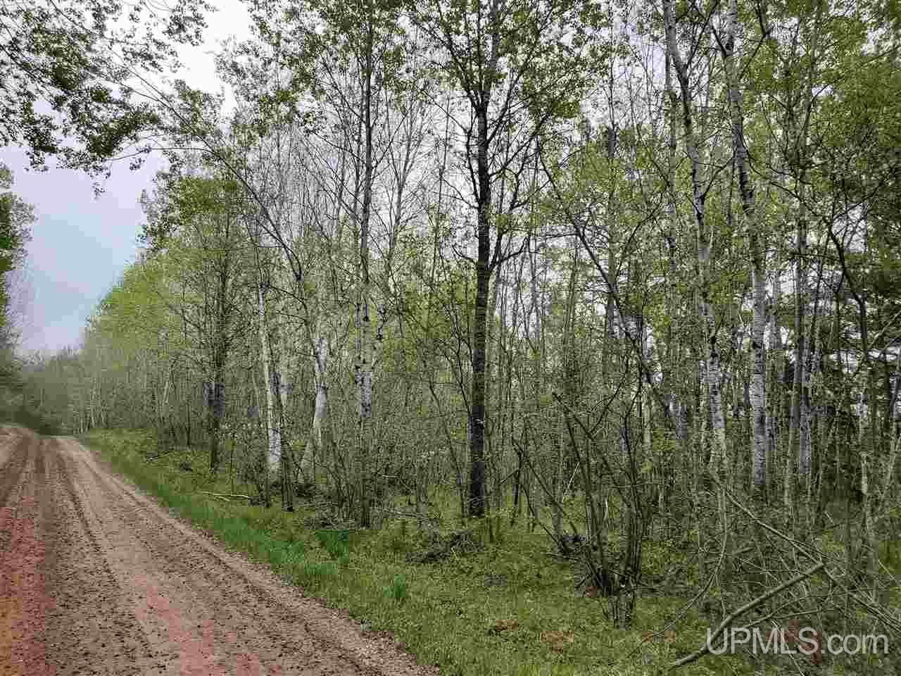39.30-ac Armstrong Lake Road Crystal Falls, MI 49920 - Photo 5 of 24