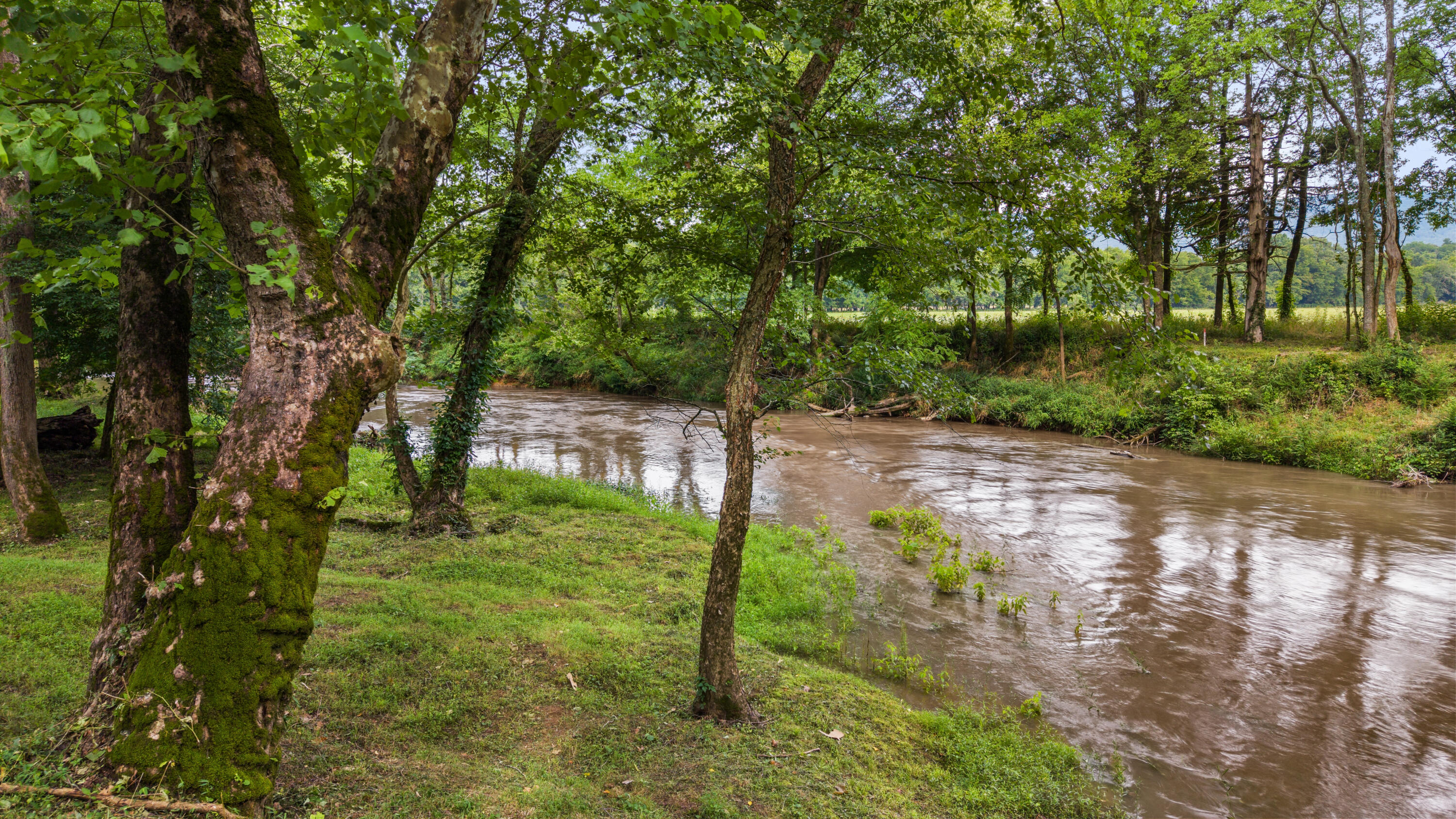 49 Hart Of Pine Road Dunlap, TN 37327 - Photo 13 of 126 THE SEQUATCHIE RIVER