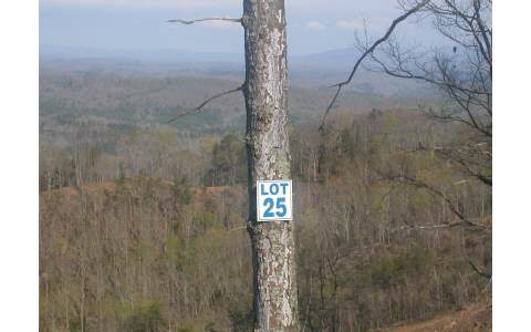 Lot25 Patriot Ridge Murphy, NC 28906 - Photo 1 of 1 Main View