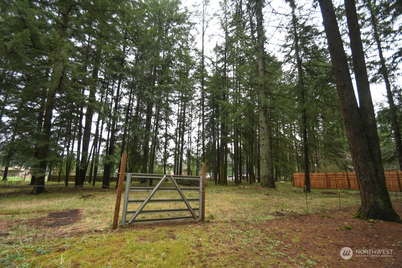 16802 Littlerock Road Southwest Rochester, WA 98579 - Photo 21 of 32
