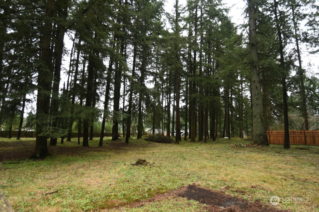 16802 Littlerock Road Southwest Rochester, WA 98579 - Photo 22 of 32