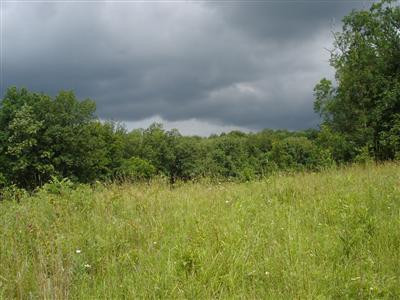 130 Parkway Road Winchester, KY 40391 - Photo 5 of 9 Listing Photo