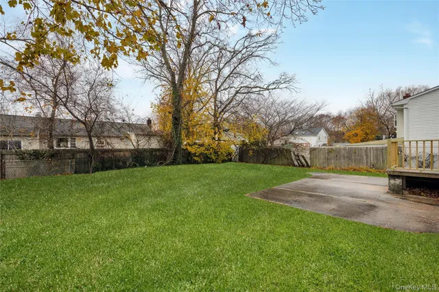 a view of a yard with plants and trees