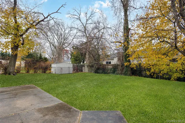 a view of a backyard with large trees