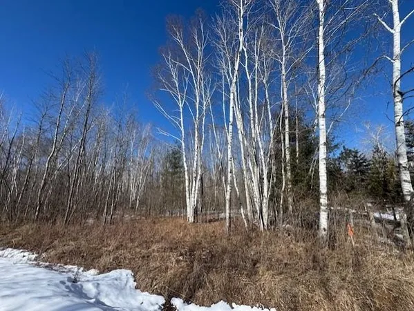 $130,000 | Pioneer Drive, Abrams, WI 54101