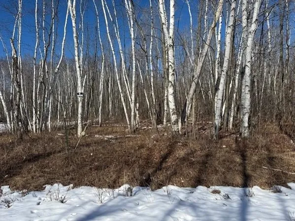$130,000 | Pioneer Drive, Abrams, WI 54101