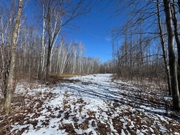 $130,000 | Pioneer Drive, Abrams, WI 54101
