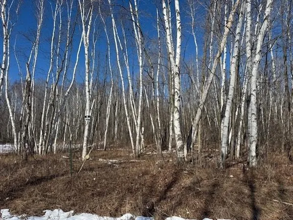 $130,000 | Pioneer Drive, Abrams, WI 54101