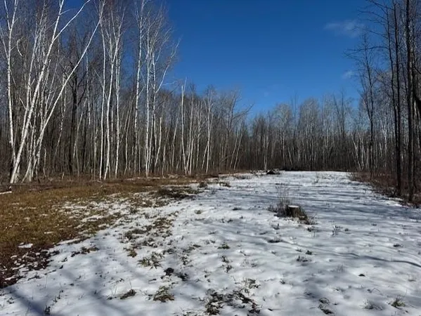 $130,000 | Pioneer Drive, Abrams, WI 54101