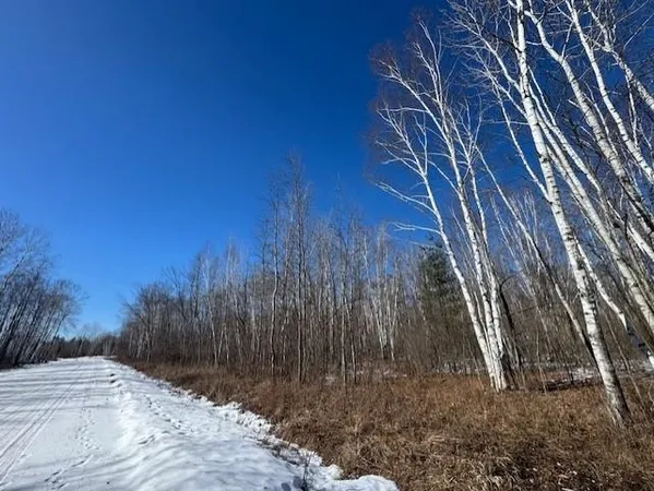 $130,000 | Pioneer Drive, Abrams, WI 54101
