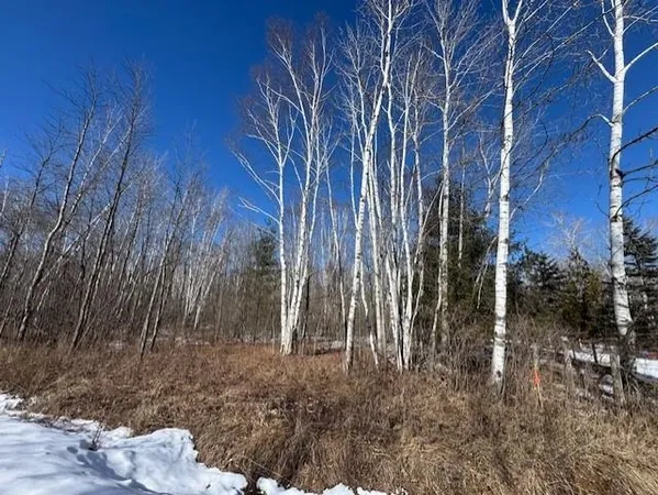 $130,000 | Pioneer Drive, Abrams, WI 54101