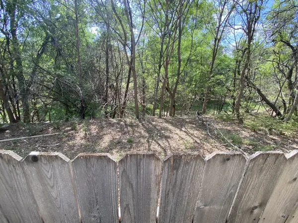 a view of a backyard with trees