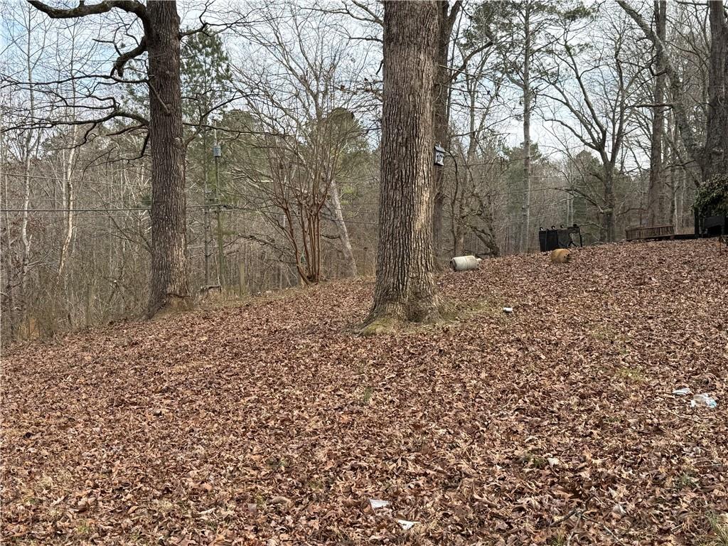 4445 Talking Rock Road Talking Rock, GA 30175 - Photo 2 of 9