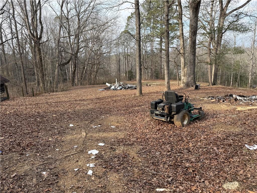 4445 Talking Rock Road Talking Rock, GA 30175 - Photo 4 of 9