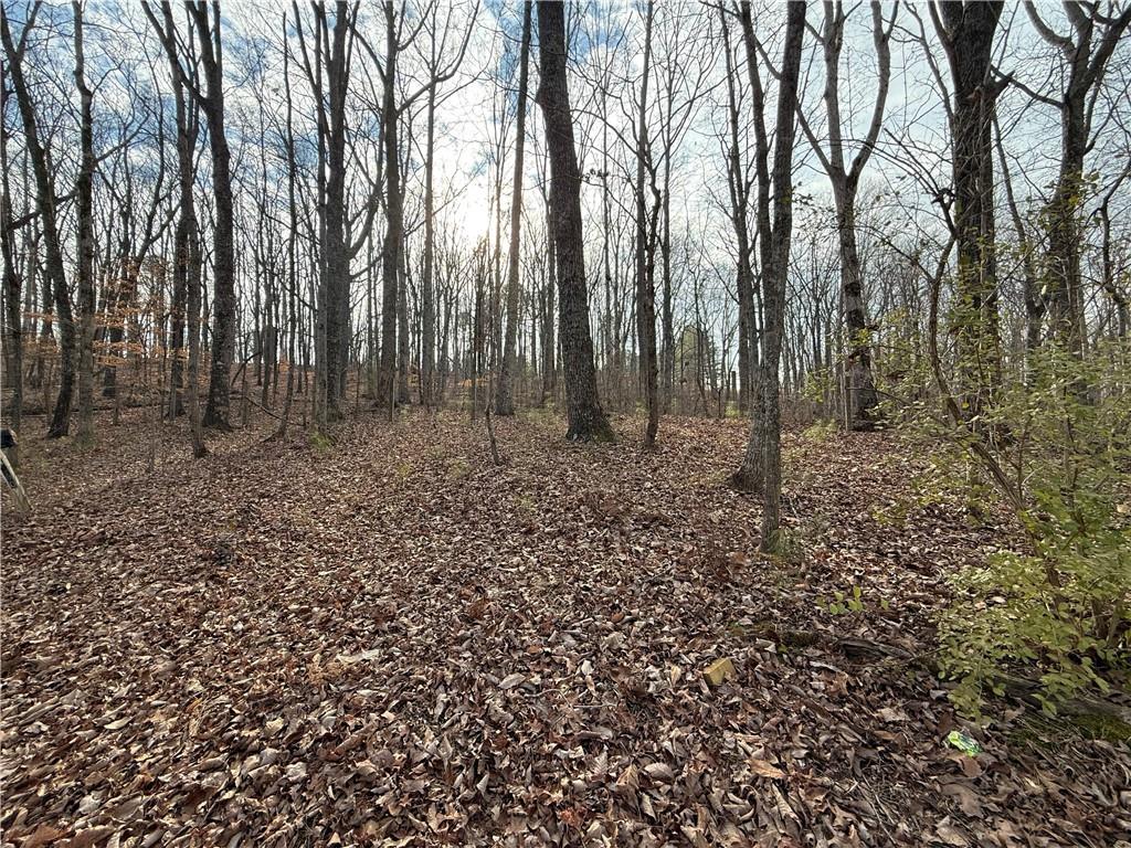 4445 Talking Rock Road Talking Rock, GA 30175 - Photo 6 of 9