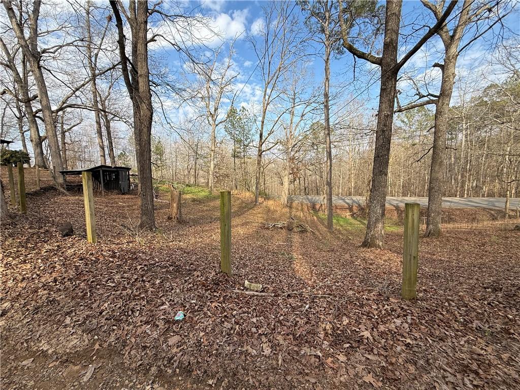 4445 Talking Rock Road Talking Rock, GA 30175 - Photo 7 of 9