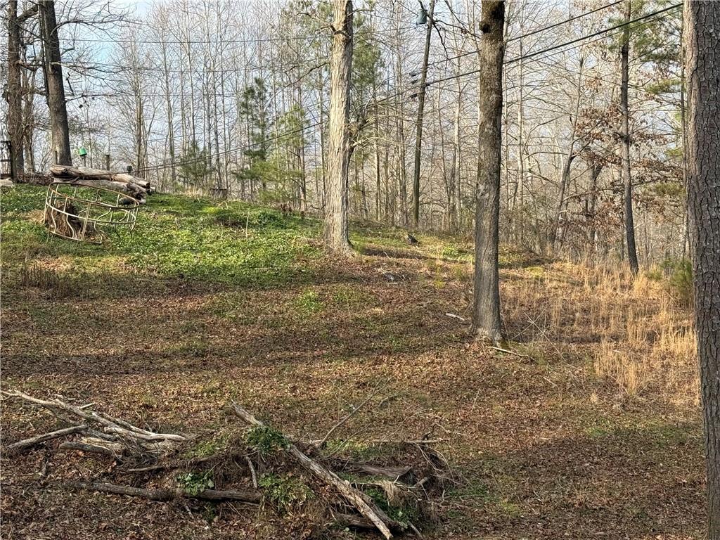 4445 Talking Rock Road Talking Rock, GA 30175 - Photo 8 of 9