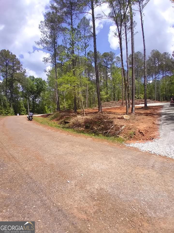 a view of a yard with palm trees