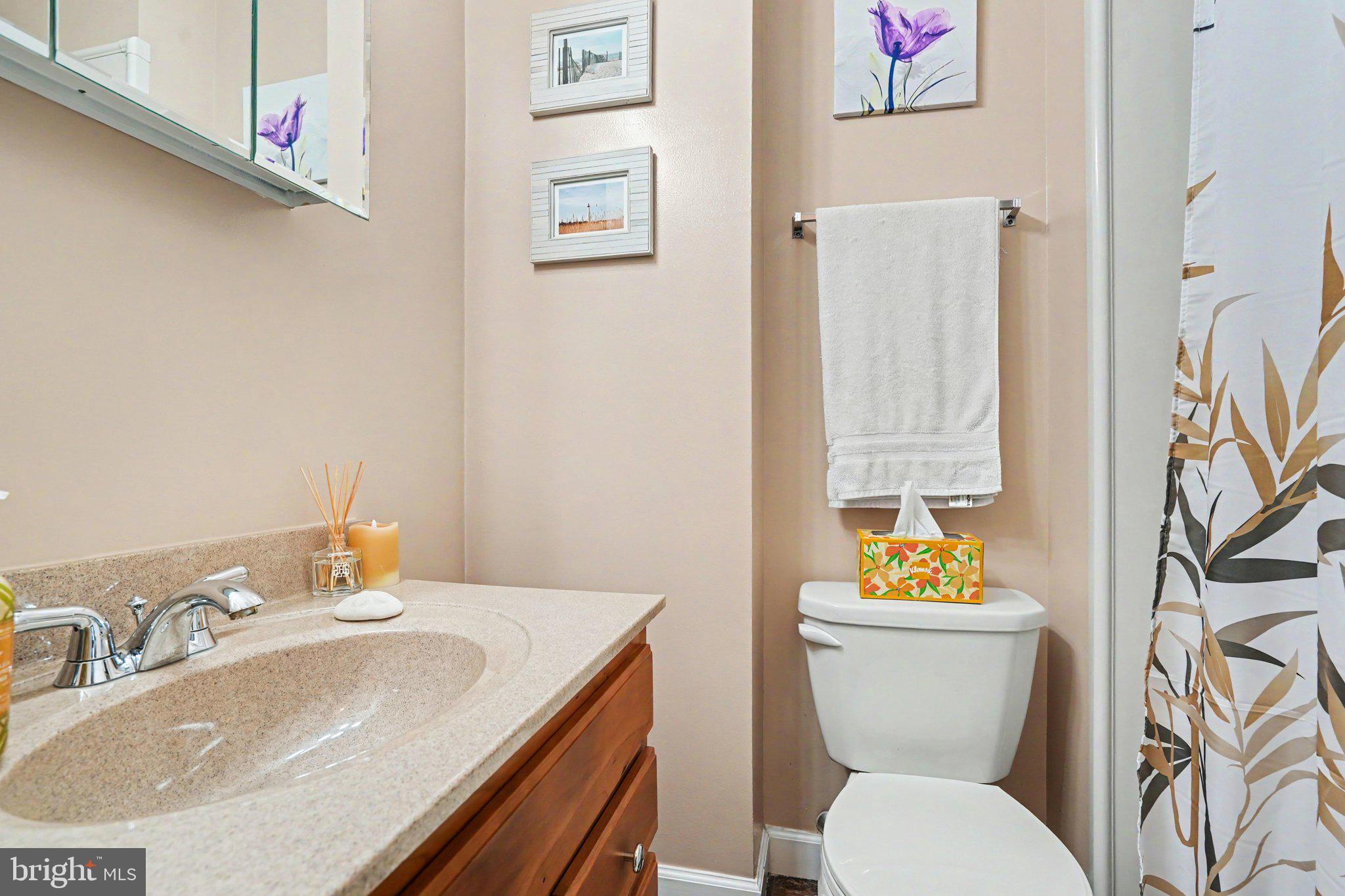 300 Lopax Road Harrisburg, PA 17112 - Photo 18 of 28 a bathroom with a toilet sink and mirror