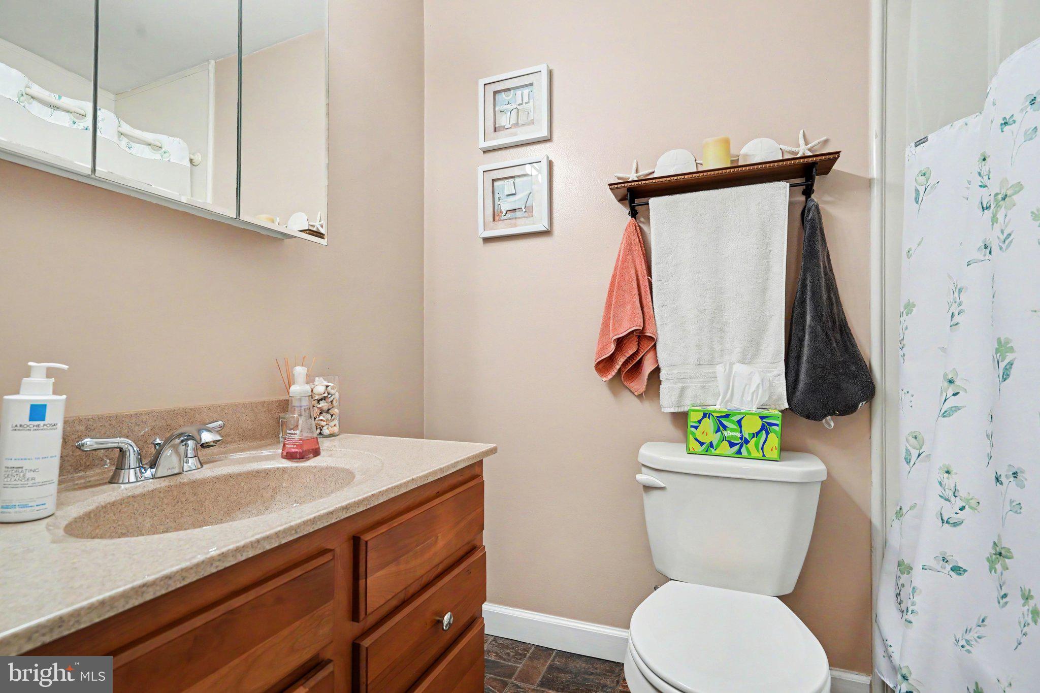 300 Lopax Road Harrisburg, PA 17112 - Photo 19 of 28 a bathroom with a sink toilet and shower