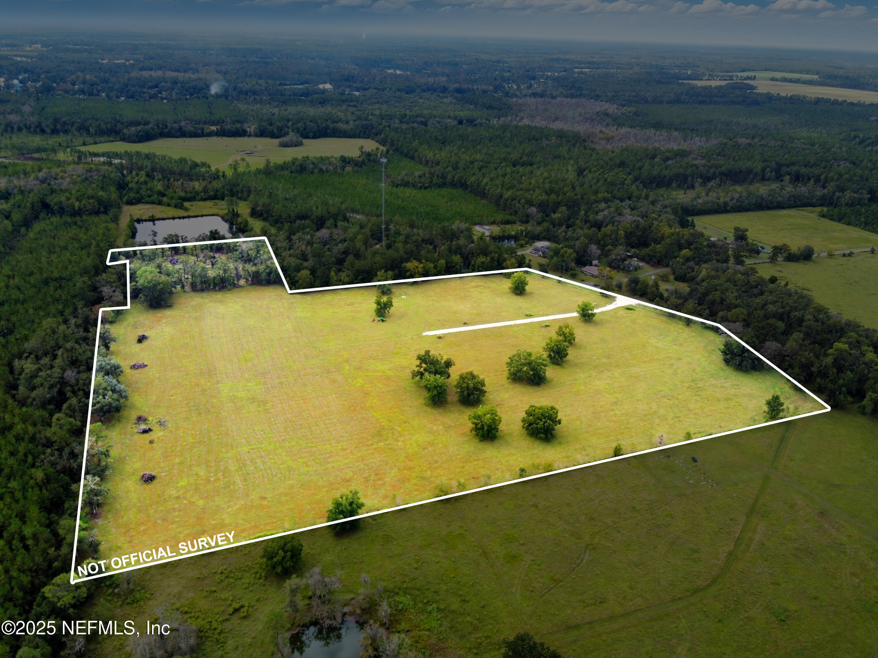 11242 Hogan Road Live Oak, FL 32060 - Photo 16 of 39 a view of a swimming pool with a yard