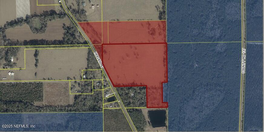 11242 Hogan Road Live Oak, FL 32060 - Photo 5 of 39 an aerial view of a house with a garden