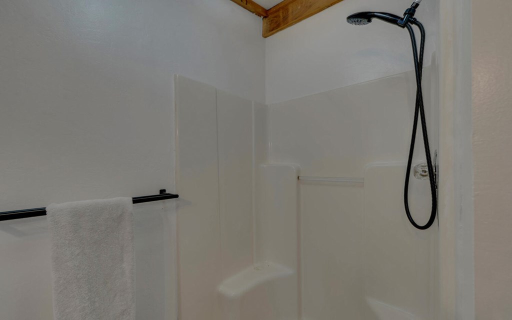 16 Bell Lane Morganton, GA 30560 - Photo 21 of 51 a bathroom with a shower