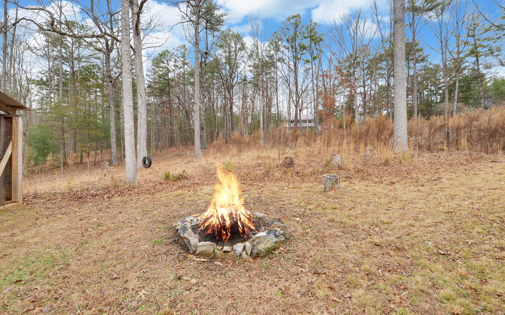 16 Bell Lane Morganton, GA 30560 - Photo 32 of 51 a view of a backyard of the house