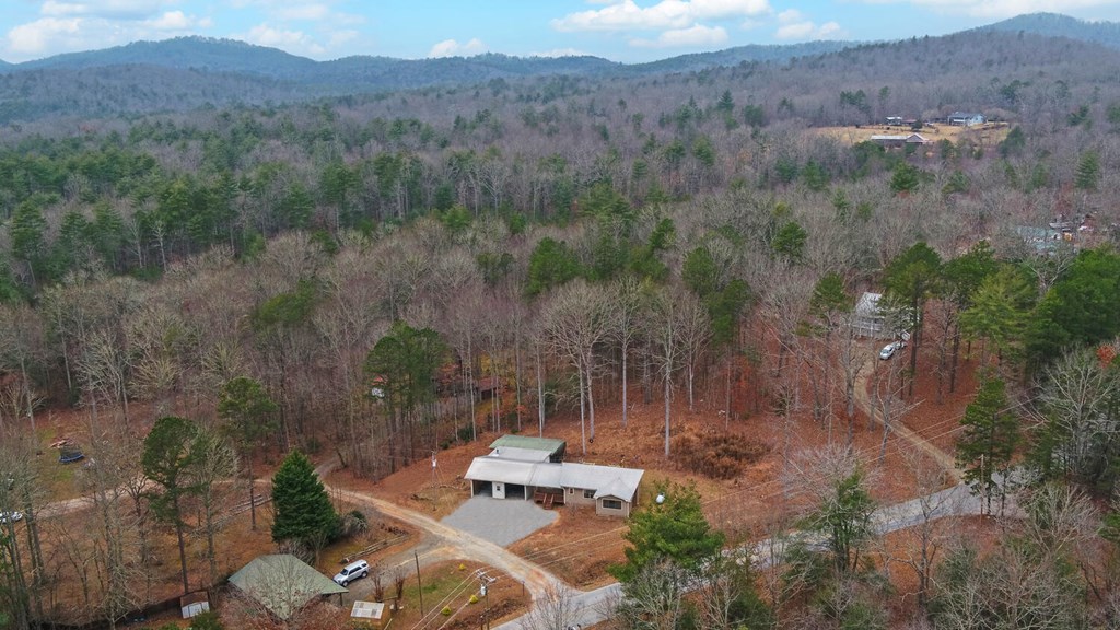 16 Bell Lane Morganton, GA 30560 - Photo 46 of 51 an aerial view of a house with a yard
