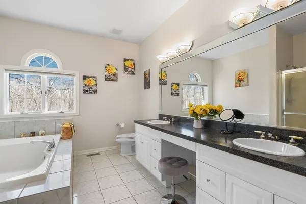 a bath room with a sink a mirror and a potted plant