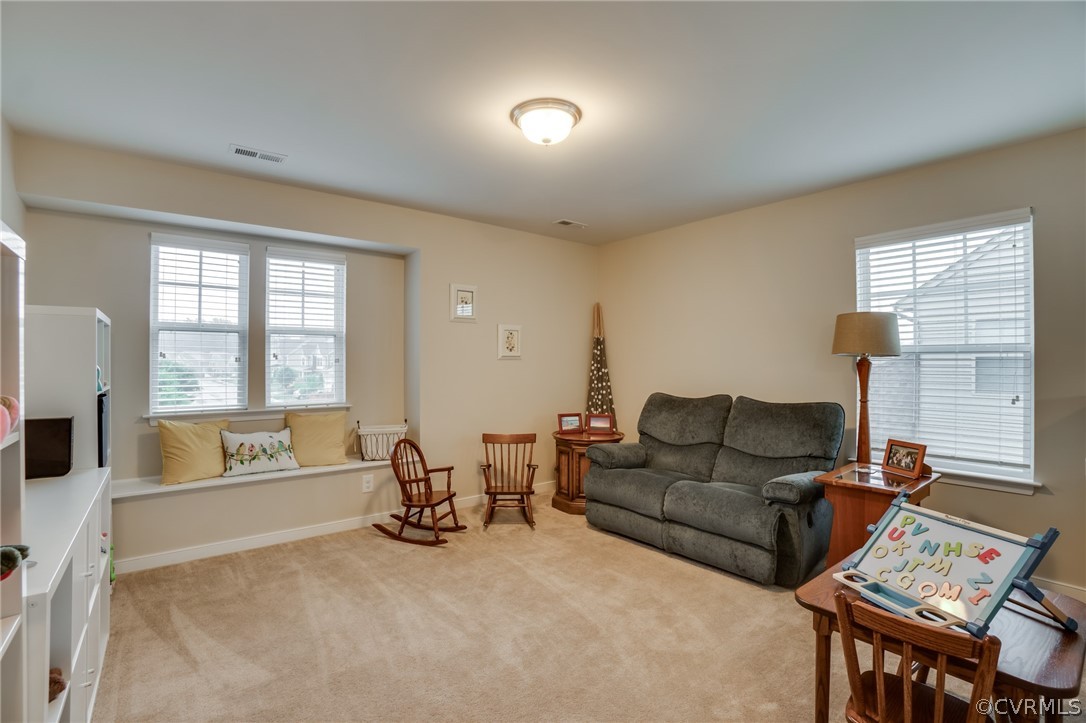 13577 Providence Run Road Ashland, VA 23005 - Photo 27 of 49 Gallery Image 27