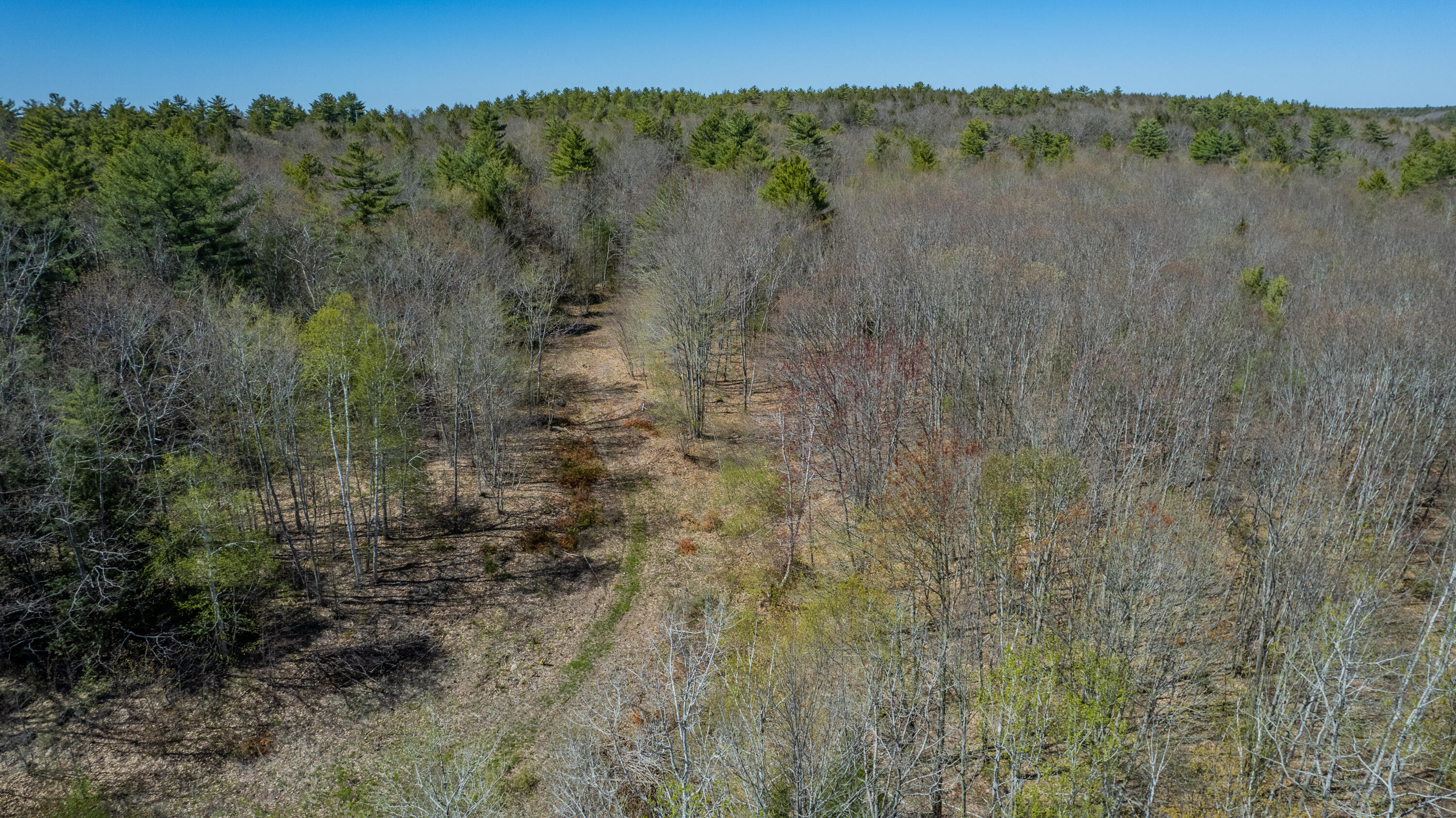 Lot 44 Old Stage Road Woolwich, ME 04579 - Photo 11 of 31 Lot 44 Old Stage Road 39