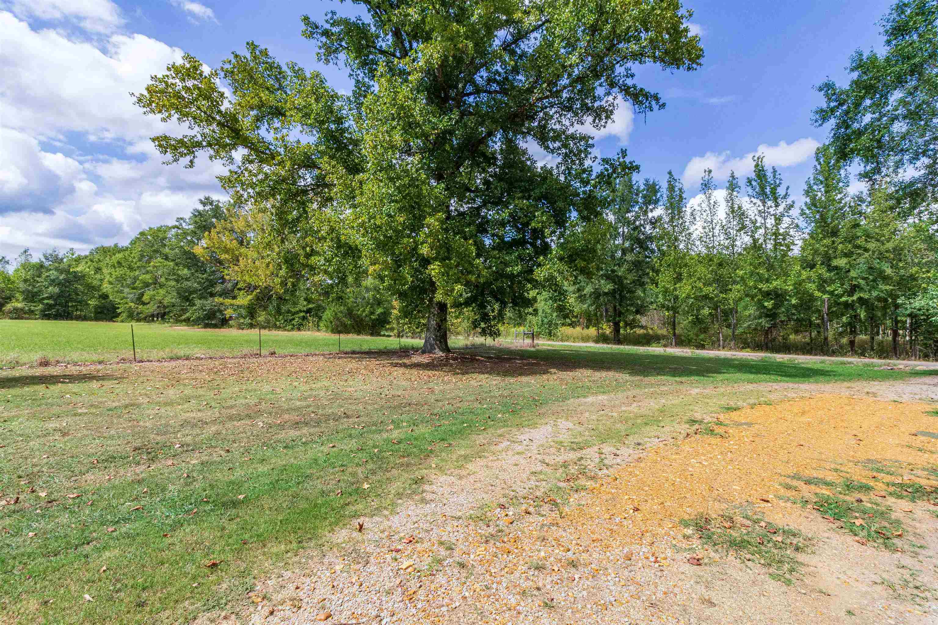 941 Mt Vernon Road Ramer, TN 38367 - Photo 3 of 29 Gallery Image 3